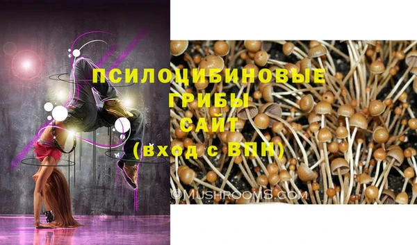 не бодяженный Беломорск