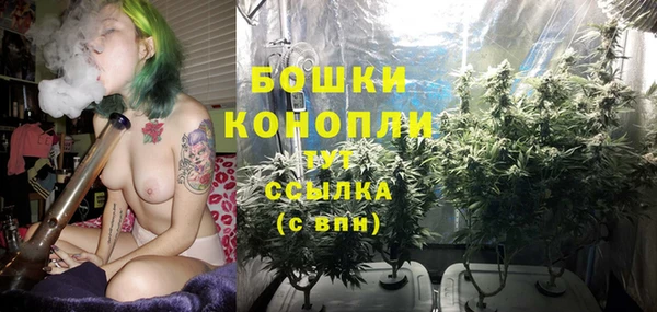 гидропоника Белокуриха