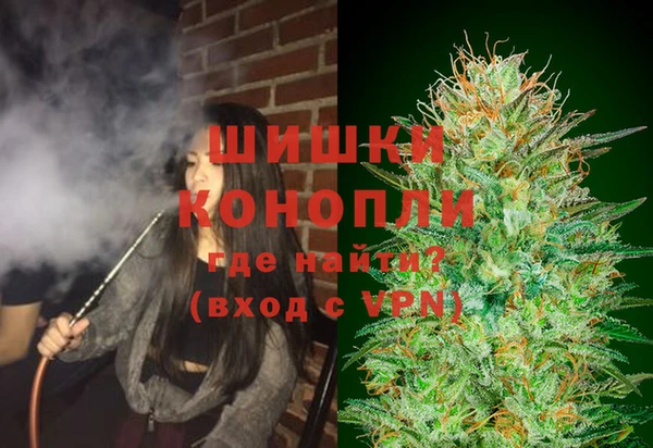гидропоника Белокуриха