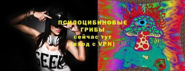 гидропоника Белокуриха